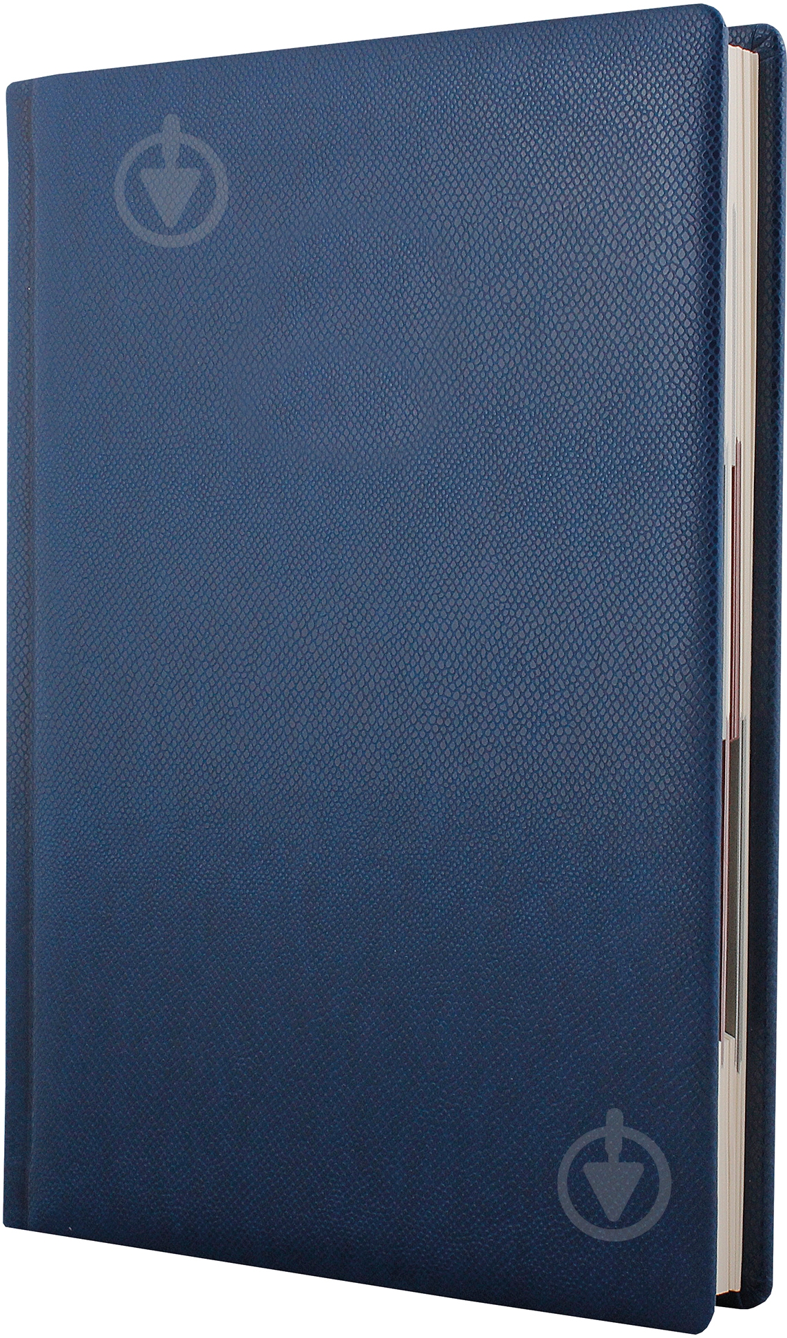 Дневник недатированный синий клетка Optima Lizard A5 O25403-02 - фото 1