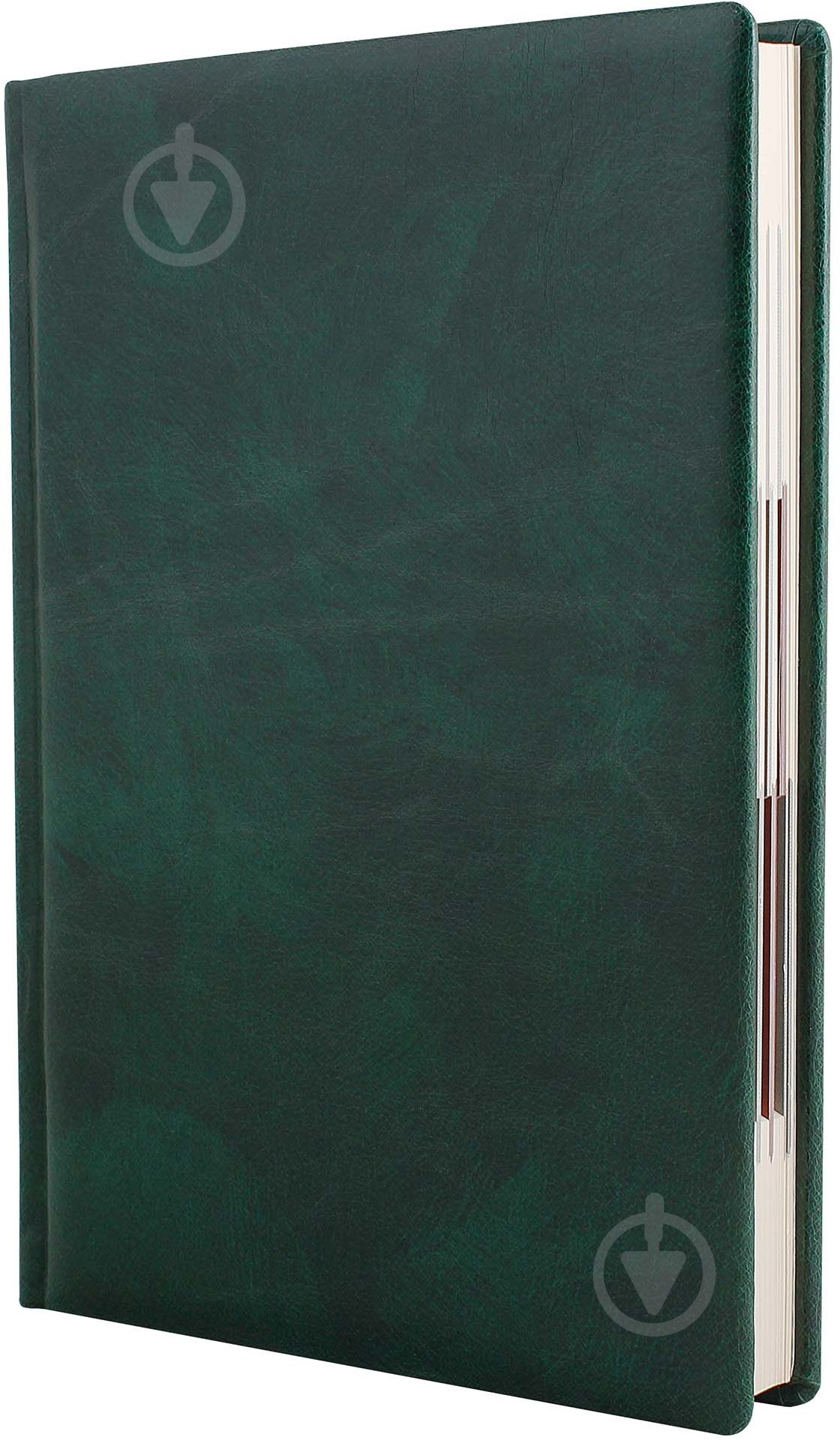 Дневник недатированный зеленый клетка Optima Fantasy A5 O25404-04 - фото 1 Дневник недатированный зеленый клетка Optima Fantasy A5 O25404-04 - фото 1