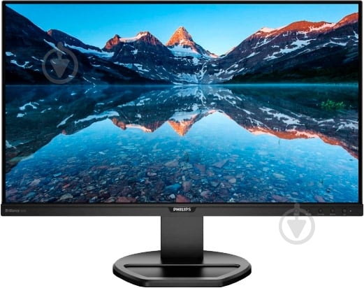 Монитор Philips 25" (252B9/00) - фото 1