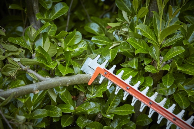 Кусторез электрический BEHTS551 - фото 3