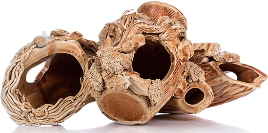 Композиція 15 - фото 2