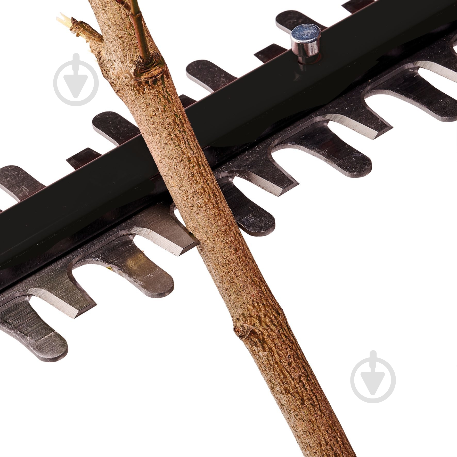 Кущоріз телескопічний Einhell Professional акумуляторний безщітковий PXC GP-HH 18/50 Li T BL - Solo 3410972 - фото 8