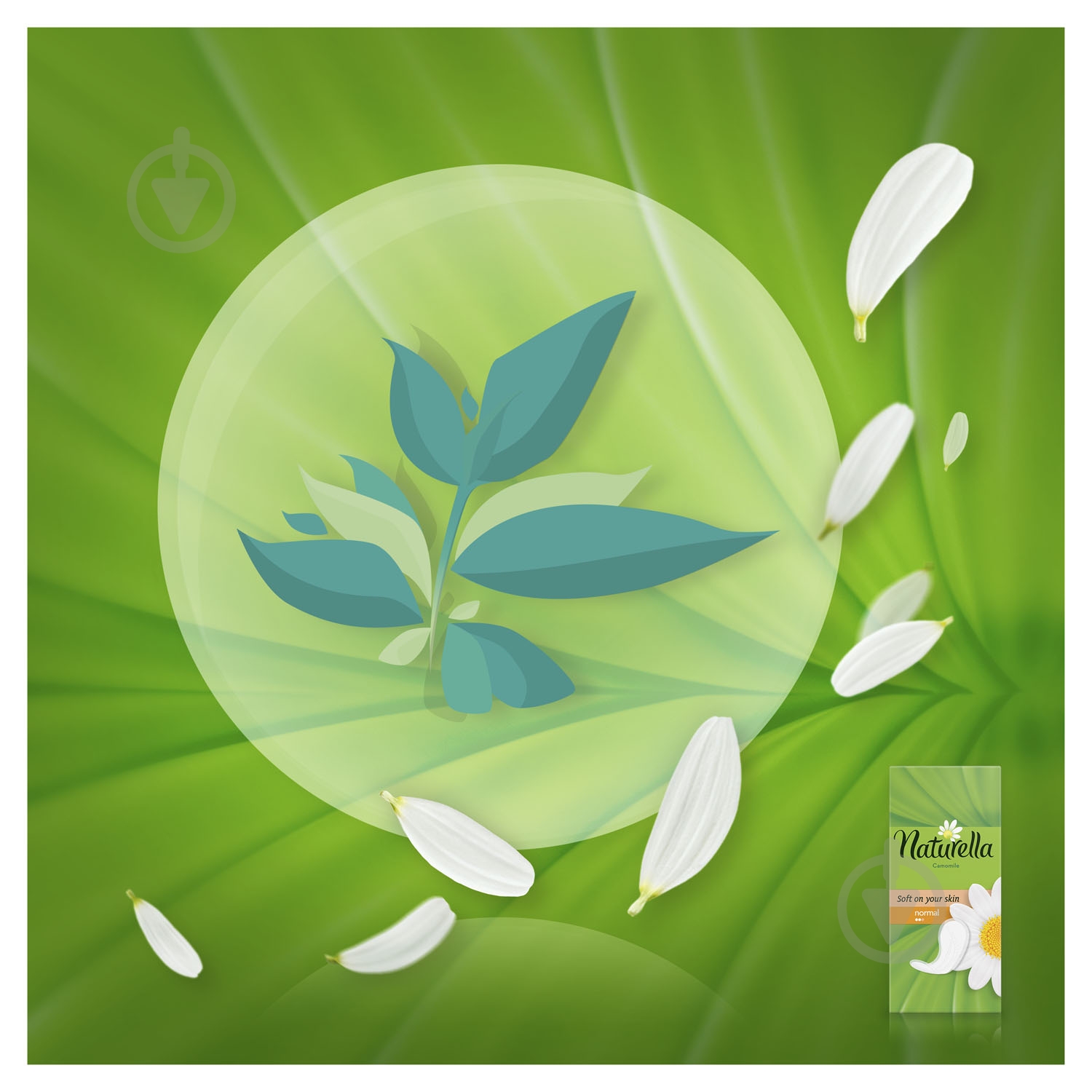 Прокладки ежедневные Naturella Green Tea Magic normal 20 шт. - фото 4 Прокладки ежедневные Naturella Green Tea Magic normal 20 шт. - фото 4