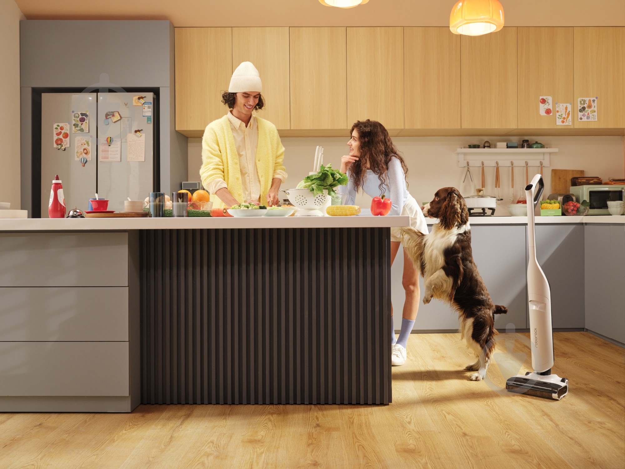 Пылесос Roborock Flexi Lite (1139660) black/white - фото 28 Пылесос Roborock Flexi Lite (1139660) black/white - фото 28