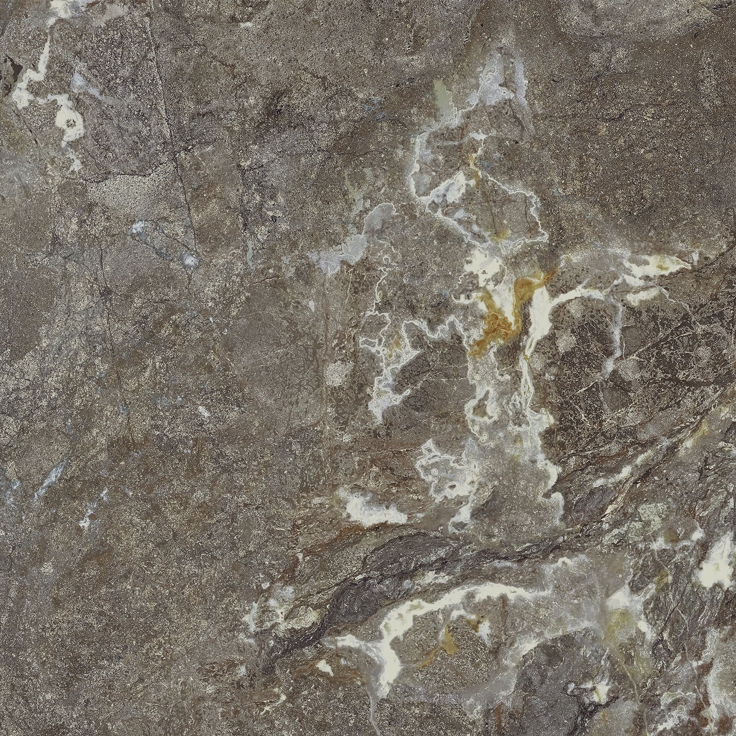 ᐉ Плитка Allore Group Snake stone Bronze F PC R Sugar 60x60 см