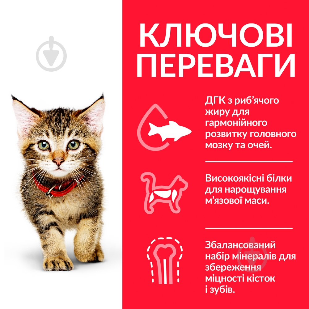 Корм Hill's Science Plan Kitten с тунцом 1,5 кг - фото 3 Корм Hill's Science Plan Kitten с тунцом 1,5 кг - фото 3