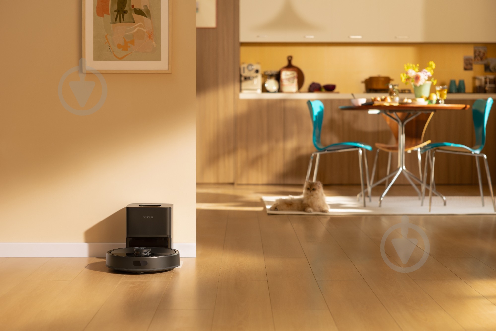 Робот-пилосос Roborock Q7 TF+ (1141768) black - фото 11 Робот-пилосос Roborock Q7 TF+ (1141768) black - фото 11