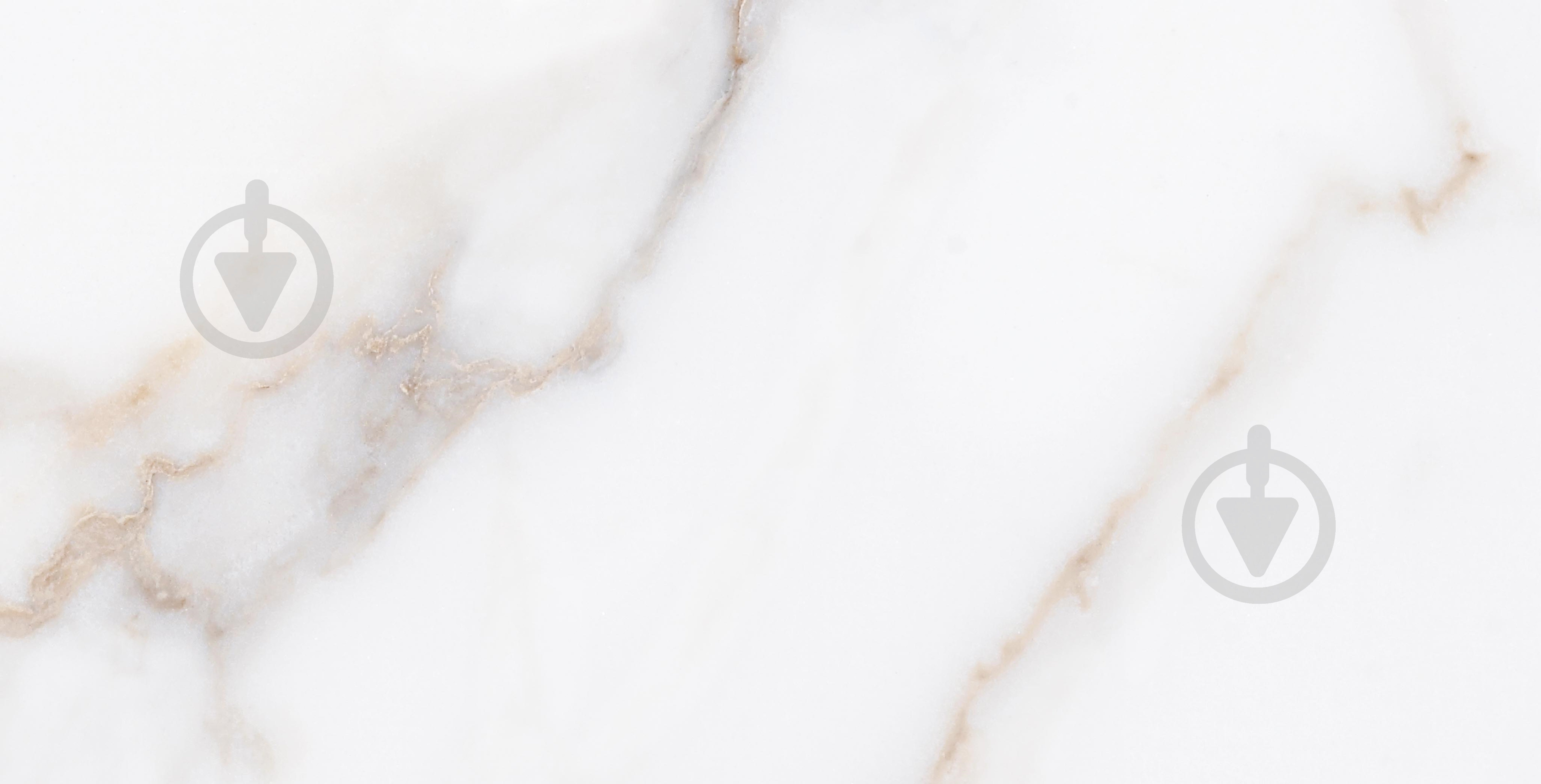 Плитка Allore Group Calacatta White M 31х61 NR Glossy 1 (72,48) - фото 1