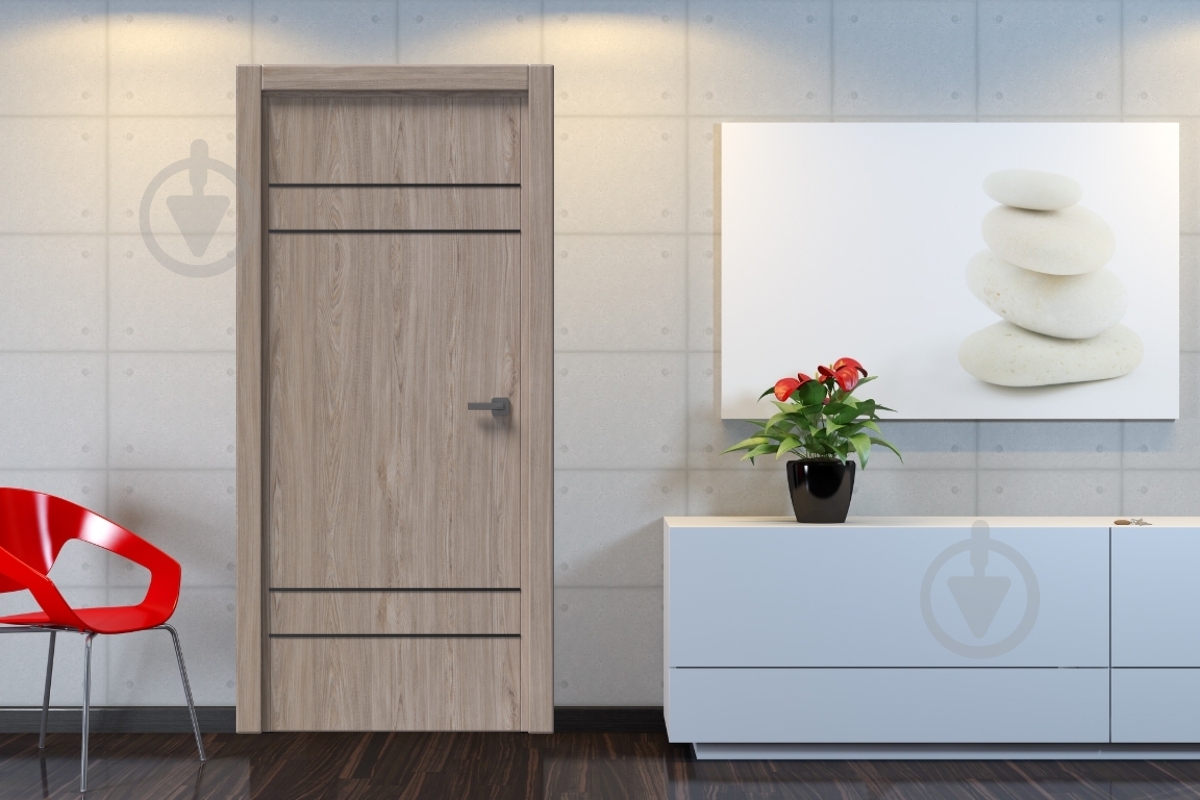 Дверное полотно IN WOOD ET-03 ПГ с черным молдингом и кромкой 800 мм ель карпатская - фото 2