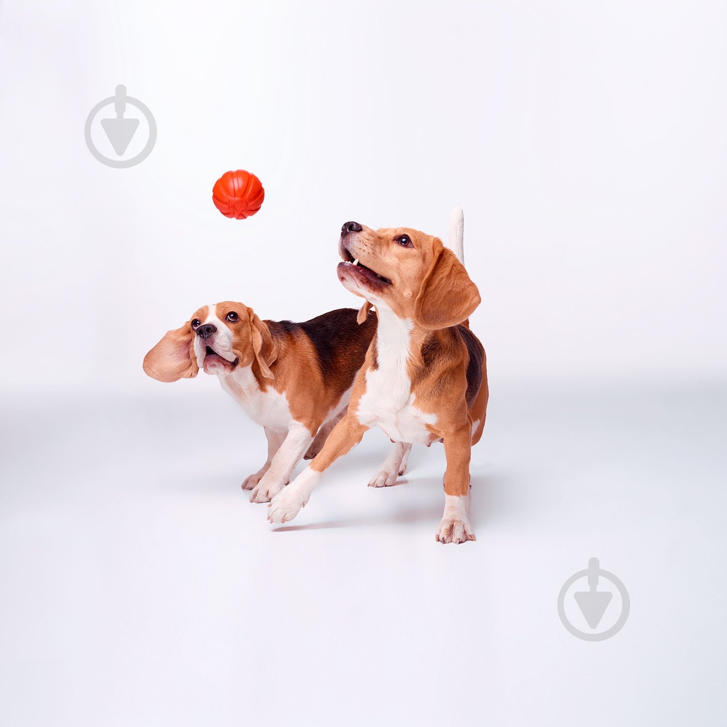 Игрушка для собак Liker 7 см - фото 4