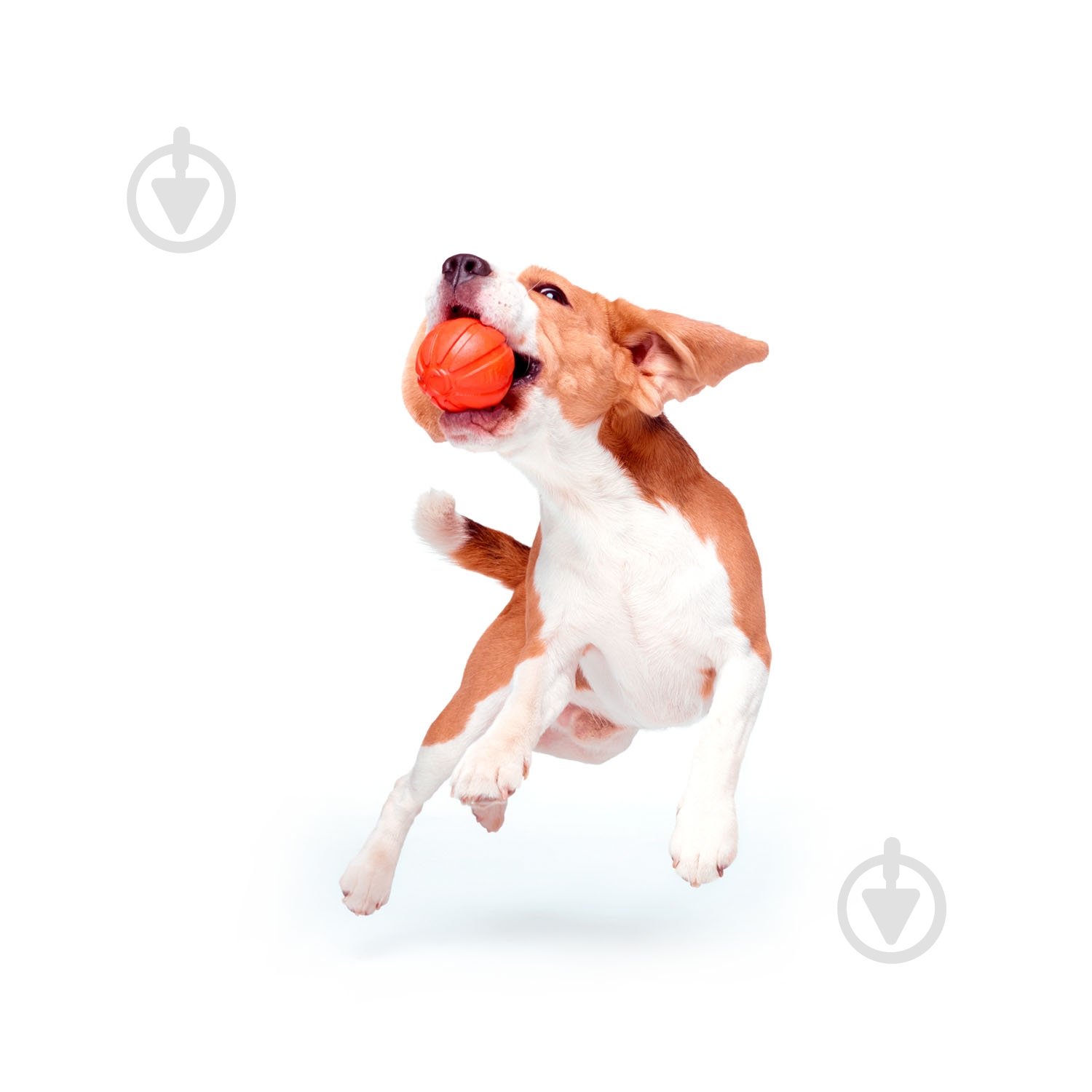 Игрушка для собак Liker 7 см - фото 5