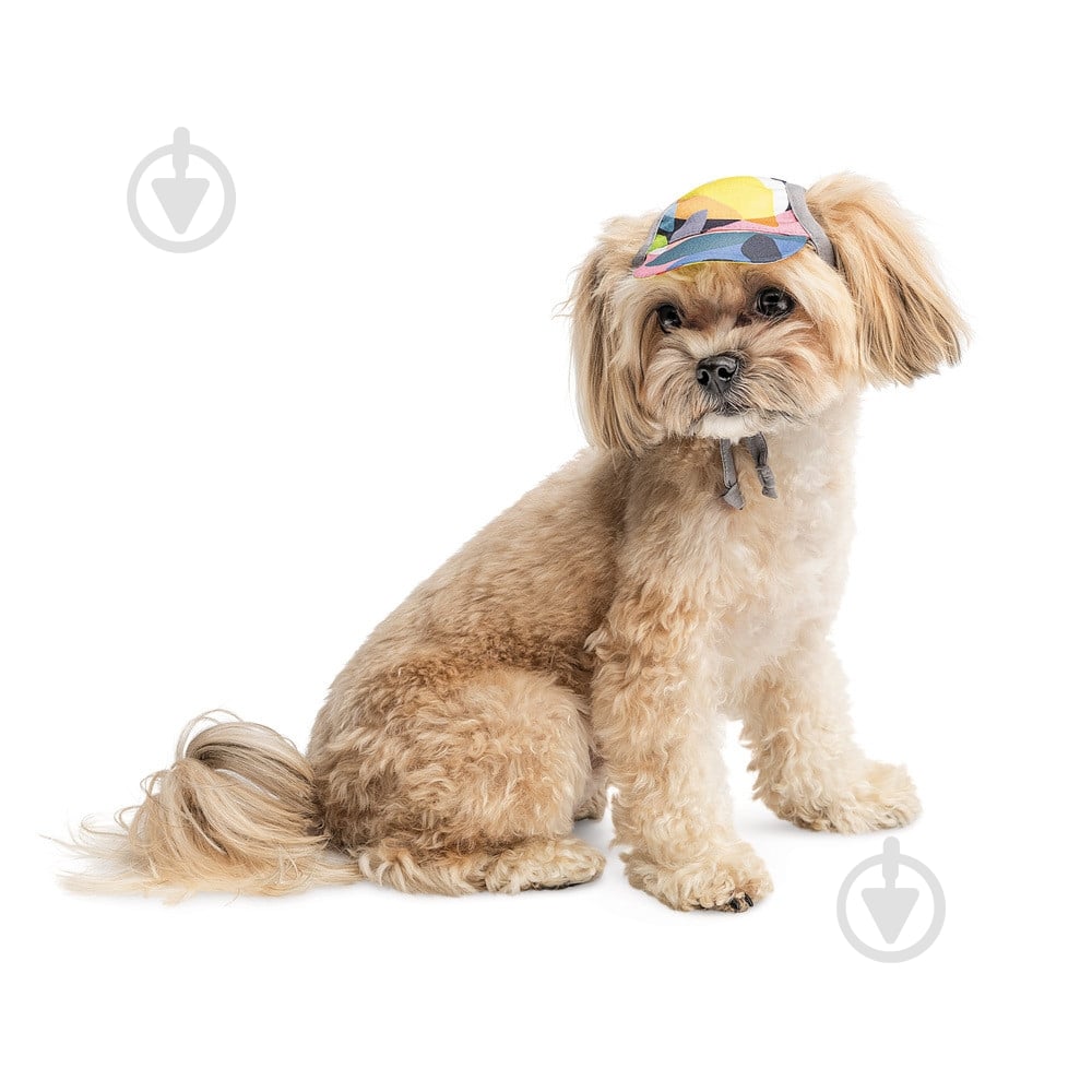 Кепка Pet Fashion Tony для собак L - фото 2 Кепка Pet Fashion Tony для собак L - фото 2