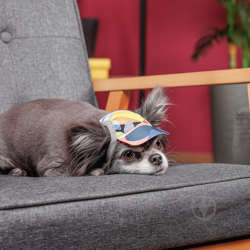 Кепка Pet Fashion Tony для собак L - фото 3 Кепка Pet Fashion Tony для собак L - фото 3