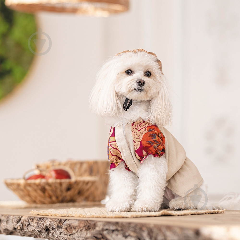 Рубашка Pet Fashion Соломия для собак девочка S бежевая - фото 4 Рубашка Pet Fashion Соломия для собак девочка S бежевая - фото 4