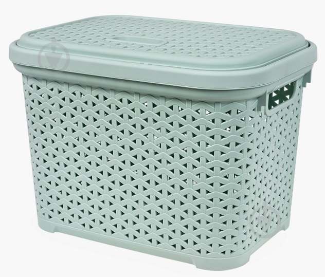 Кошик для зберігання Diomedea світло-фісташковий К14-374 30 л 310x336x445 мм - фото 1 Кошик для зберігання Diomedea світло-фісташковий К14-374 30 л 310x336x445 мм - фото 1