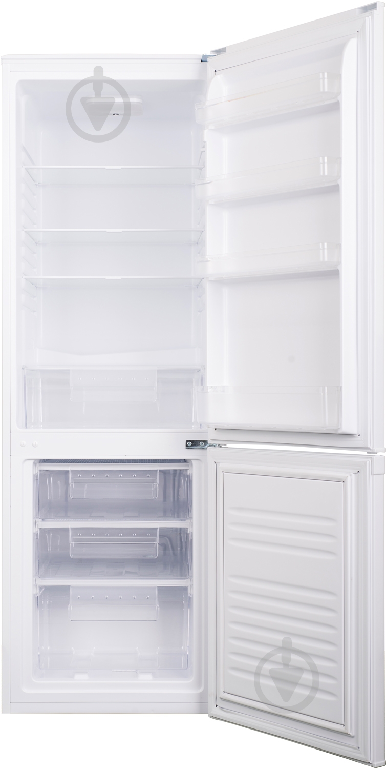 Холодильник Ergo MRF-166 - фото 4