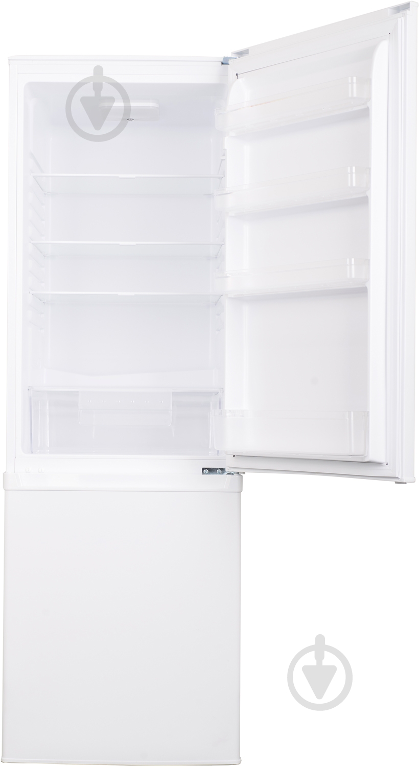 Холодильник Ergo MRF-166 - фото 5