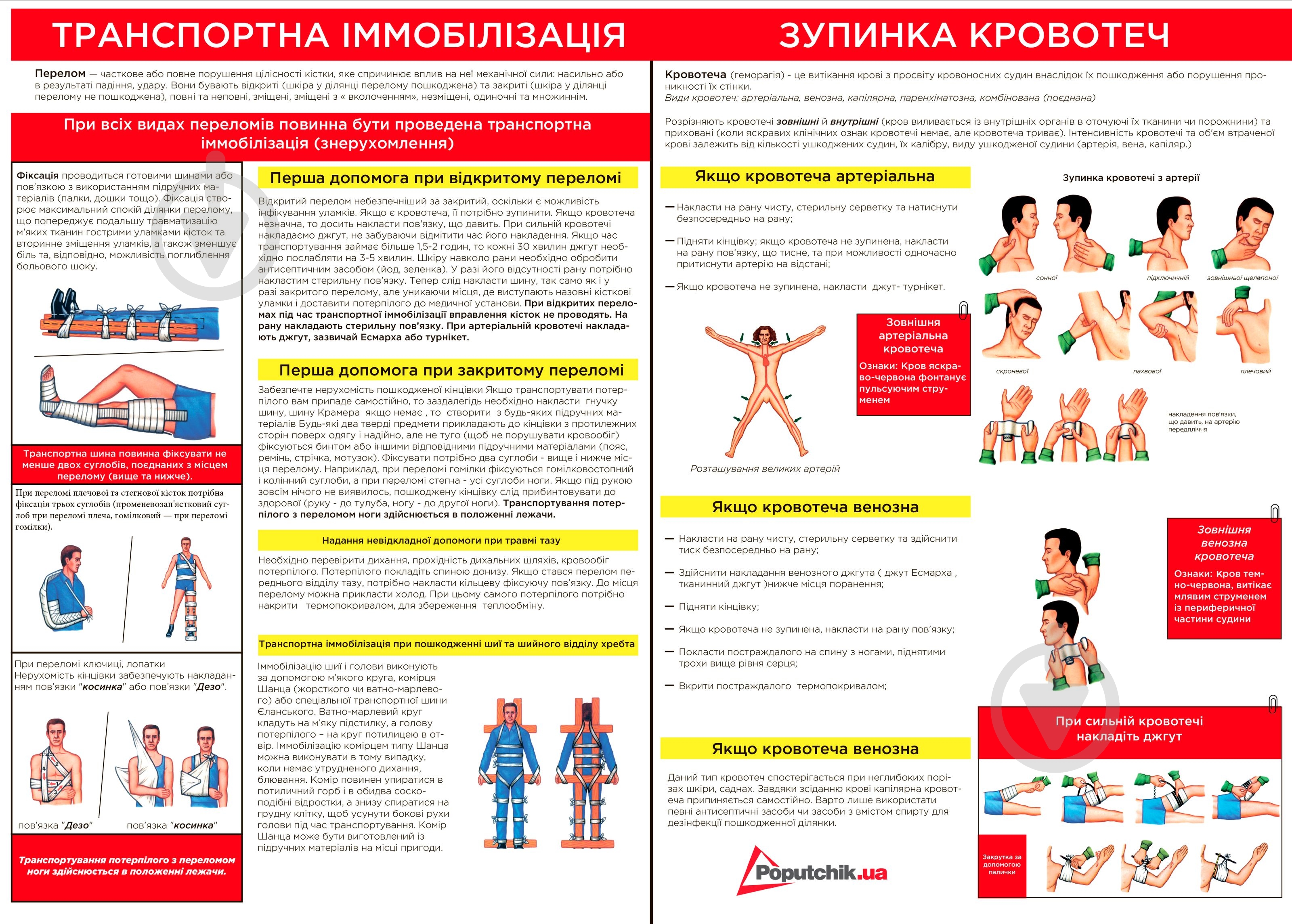 Аптечка Poputchik для учебного класса 02-070-М - фото 3