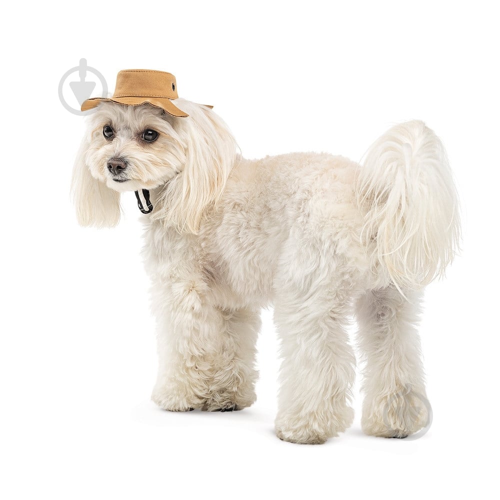Панамка Pet Fashion Ava для собак L бежевая - фото 2