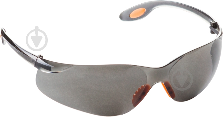 Очки защитные Hardy 1501-500002 - фото 1