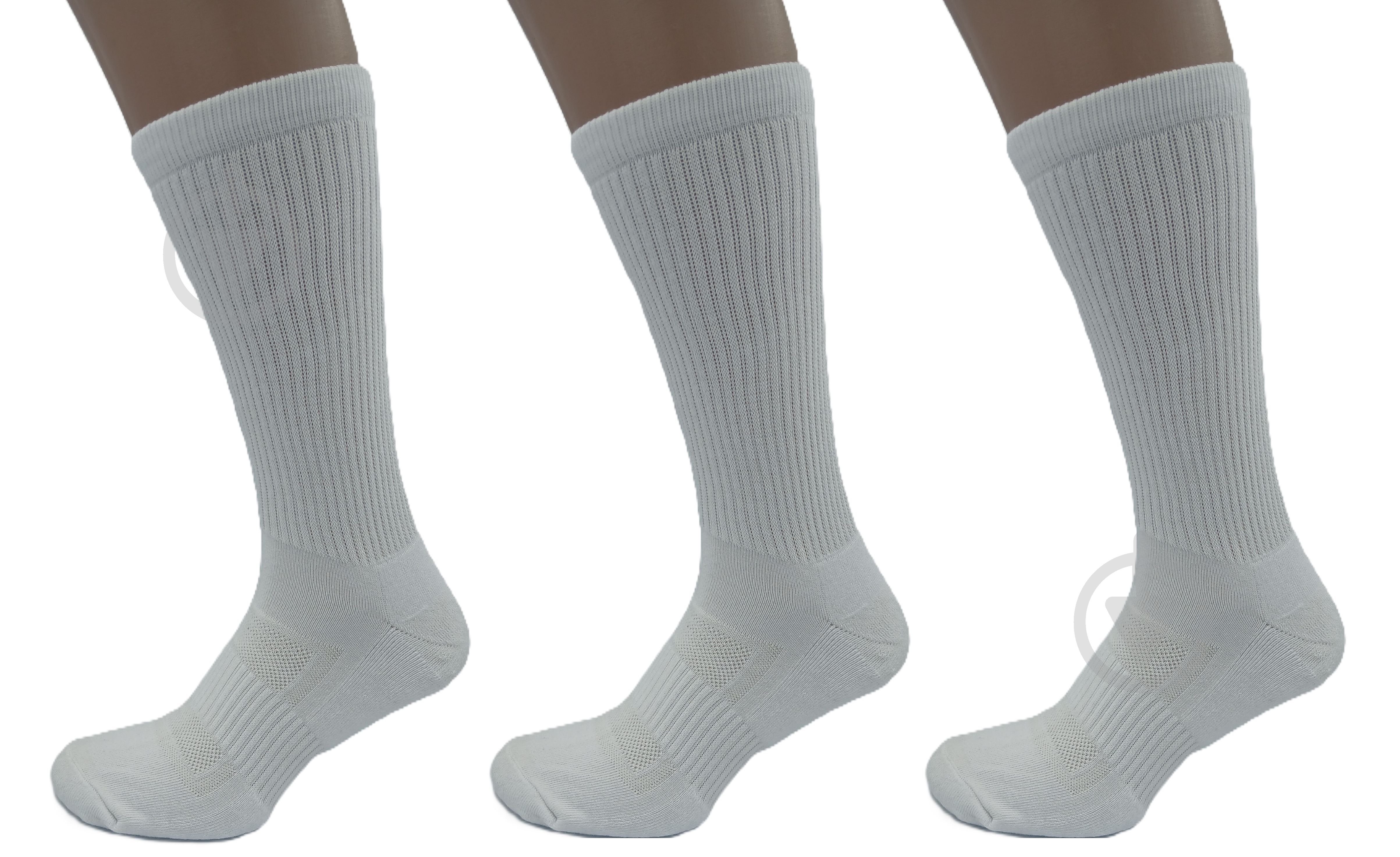 Комплект носков MaxxPro 19401 р.38-42 белый 3 шт. - фото 1 Комплект носков MaxxPro 19401 р.38-42 белый 3 шт. - фото 1