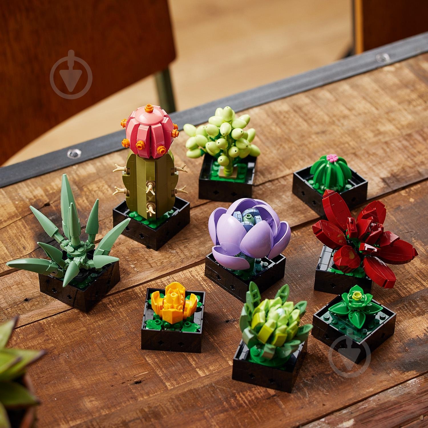 Конструктор LEGO Icons сукуленти 10309 - фото 8 Конструктор LEGO Icons сукуленти 10309 - фото 8