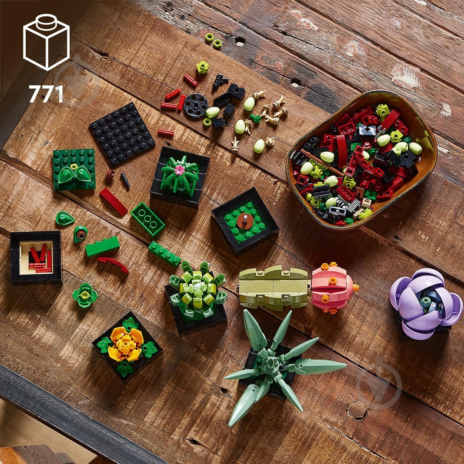 Конструктор LEGO Icons сукуленти 10309 - фото 9 Конструктор LEGO Icons сукуленти 10309 - фото 9