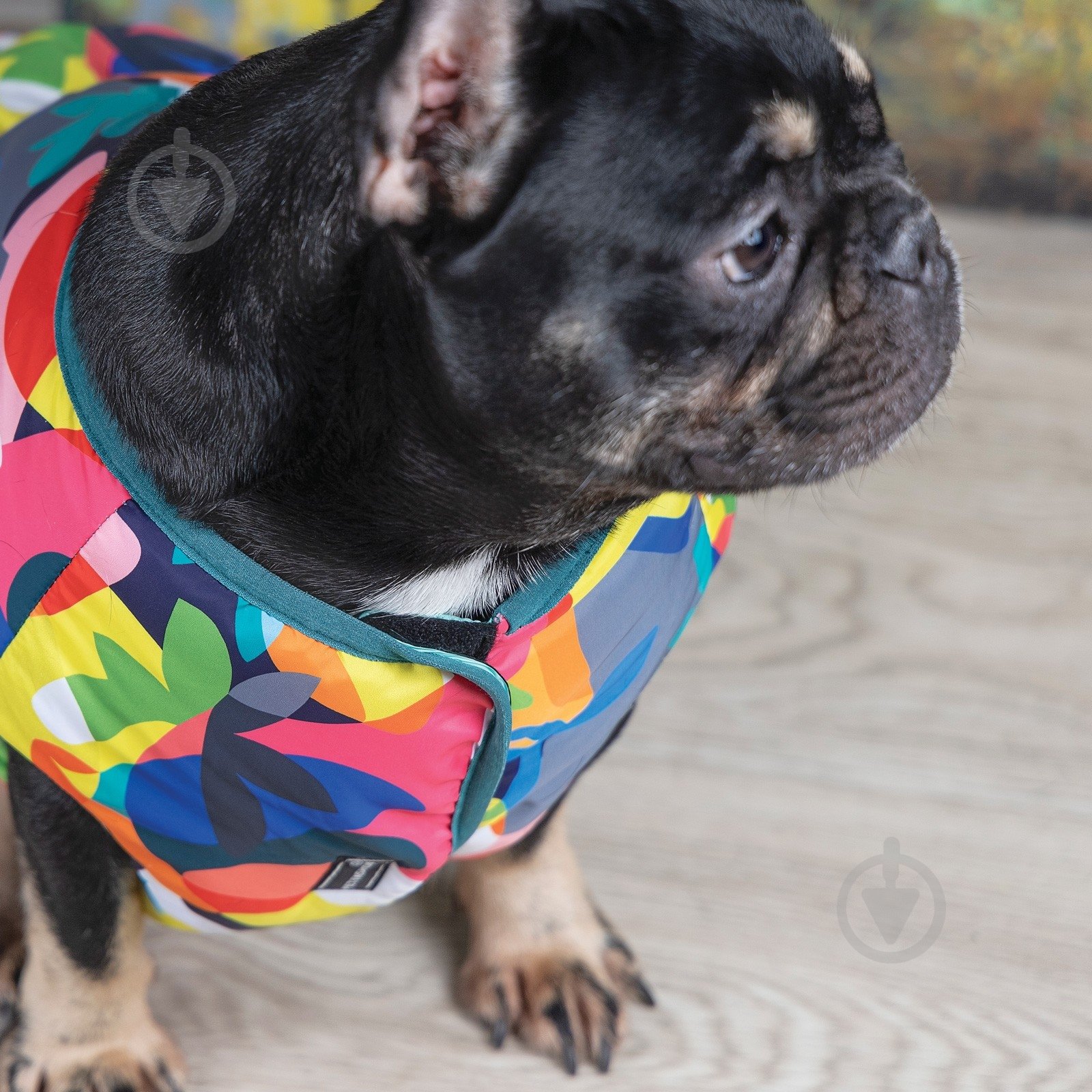 Жилет Природа для собак SPRING принт M - фото 4 Жилет Природа для собак SPRING принт M - фото 4