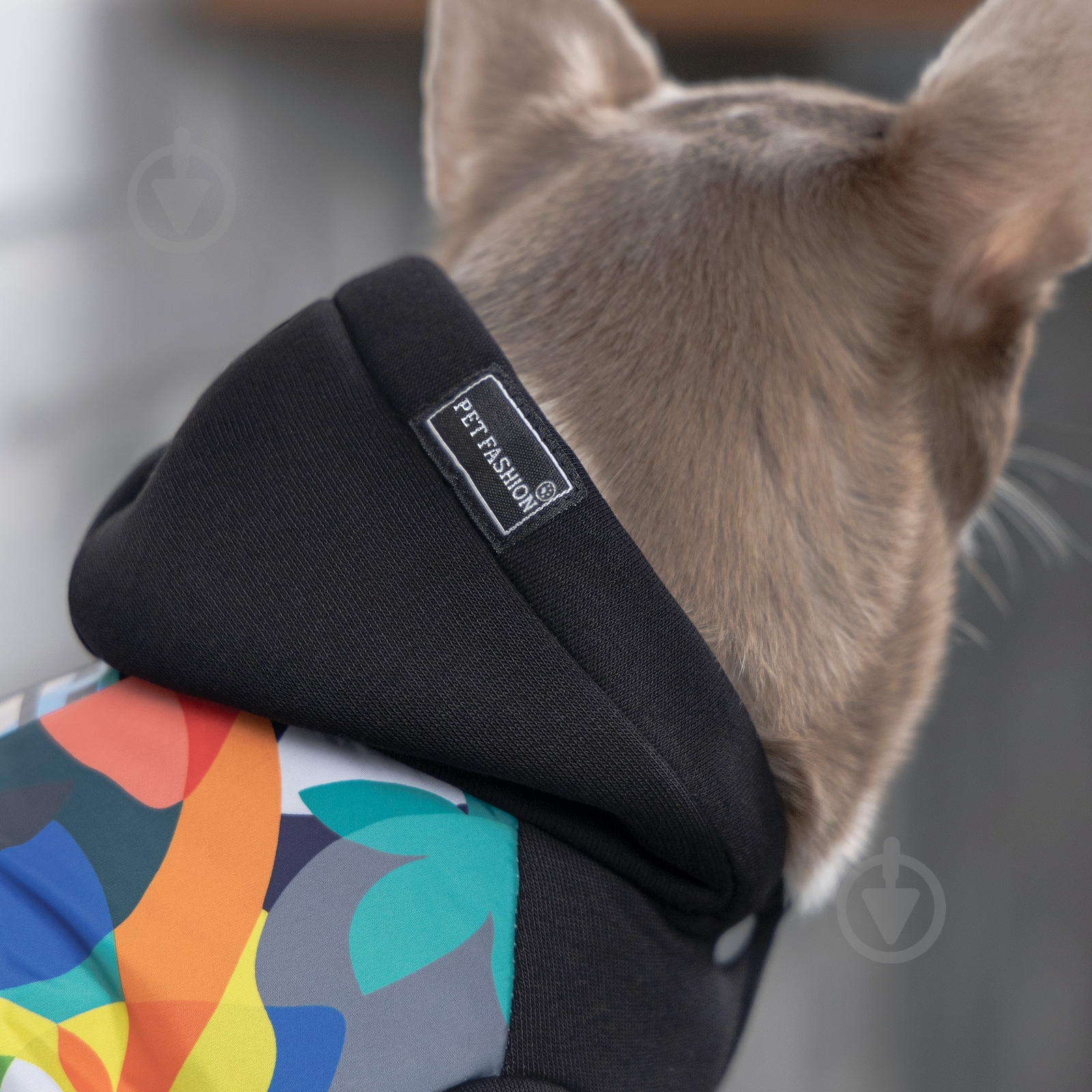 Толстовка с капюшоном Природа The Coolest S - фото 3 Толстовка с капюшоном Природа The Coolest S - фото 3