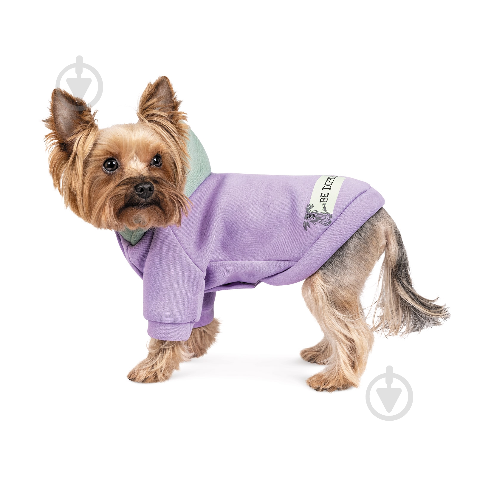 Толстовка с капюшоном Природа Be Different S - фото 1 Толстовка с капюшоном Природа Be Different S - фото 1