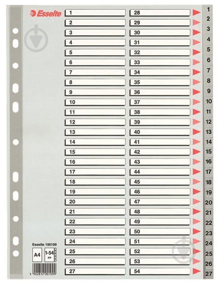 Разделитель цифровой РР А4 1-54 Esselte - фото 1