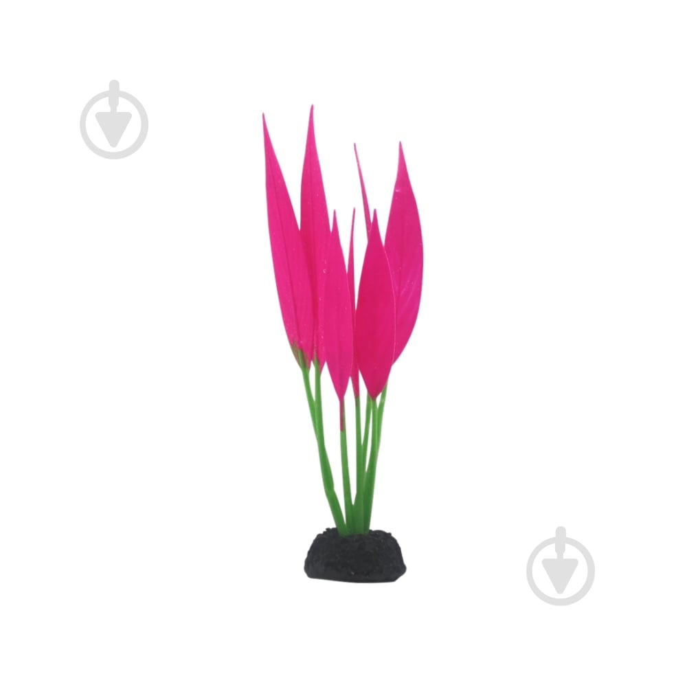 Декорация Deming Гигрофила - фото 3