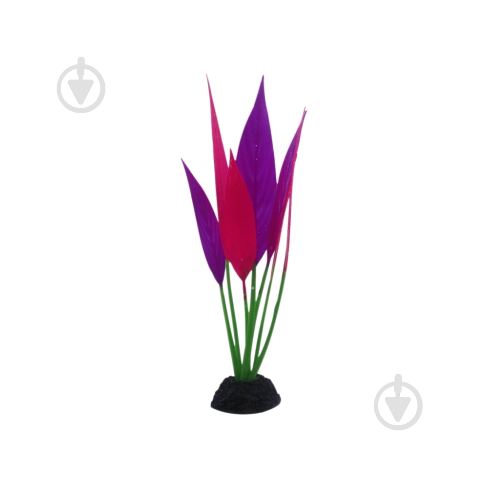 Декорация Deming Гигрофила - фото 5