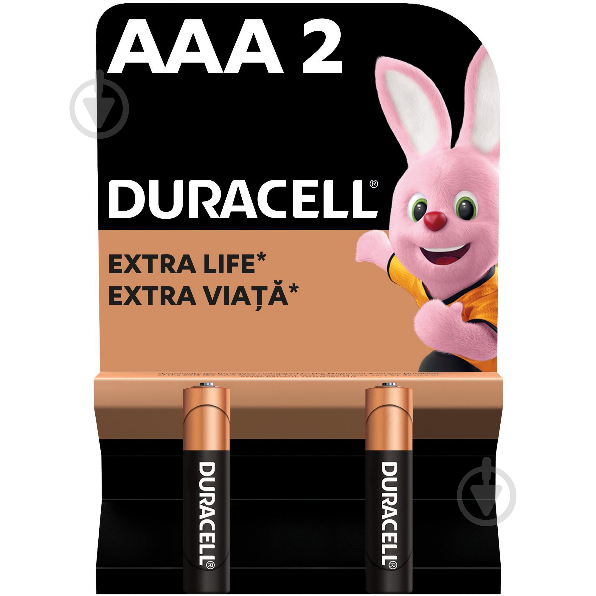 Батарейки лужні Duracell MN2400 AAA (мізинчикові) 2 шт. (81550794) - фото 1