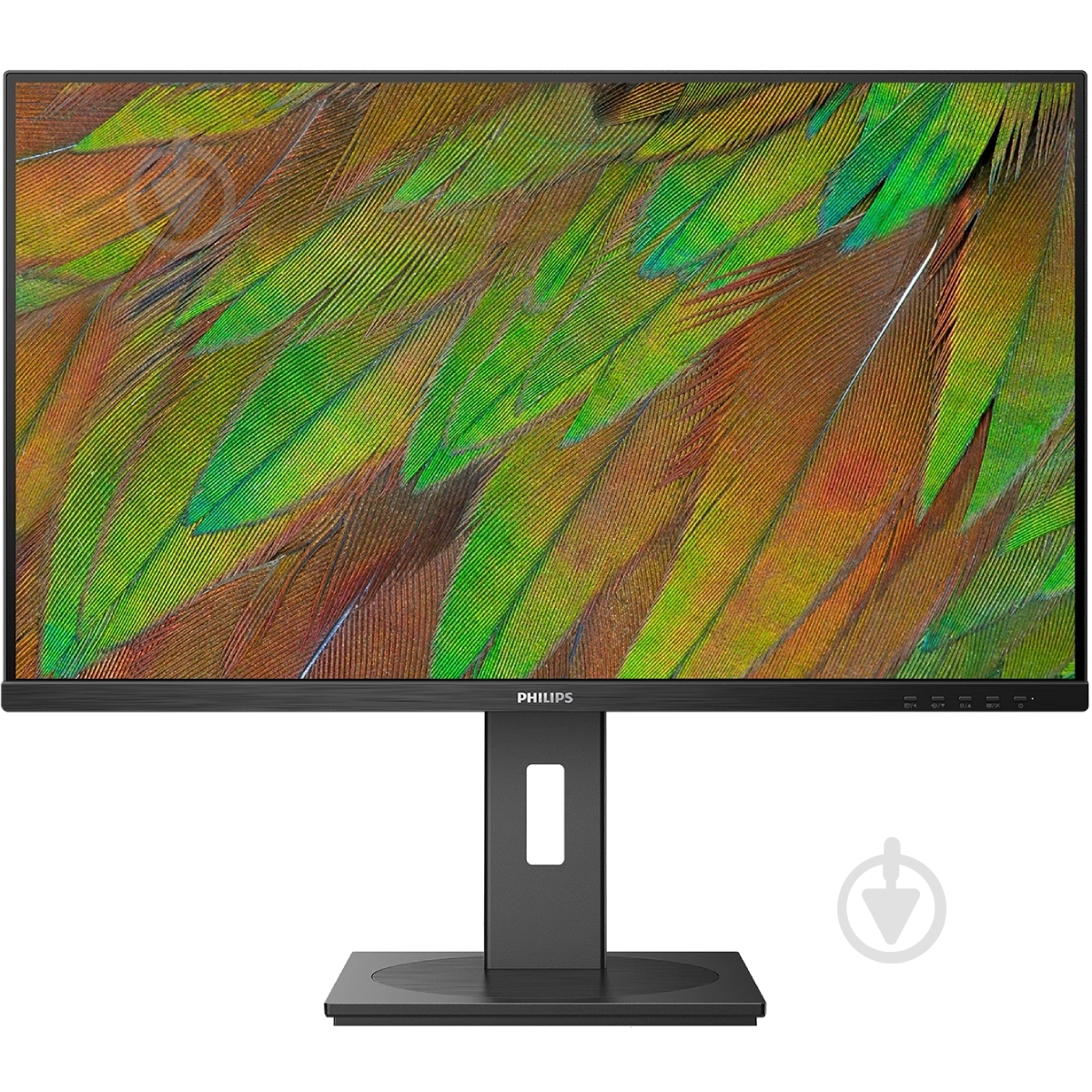 Монітор Philips 31,5" (32B1U3900/00) - фото 1