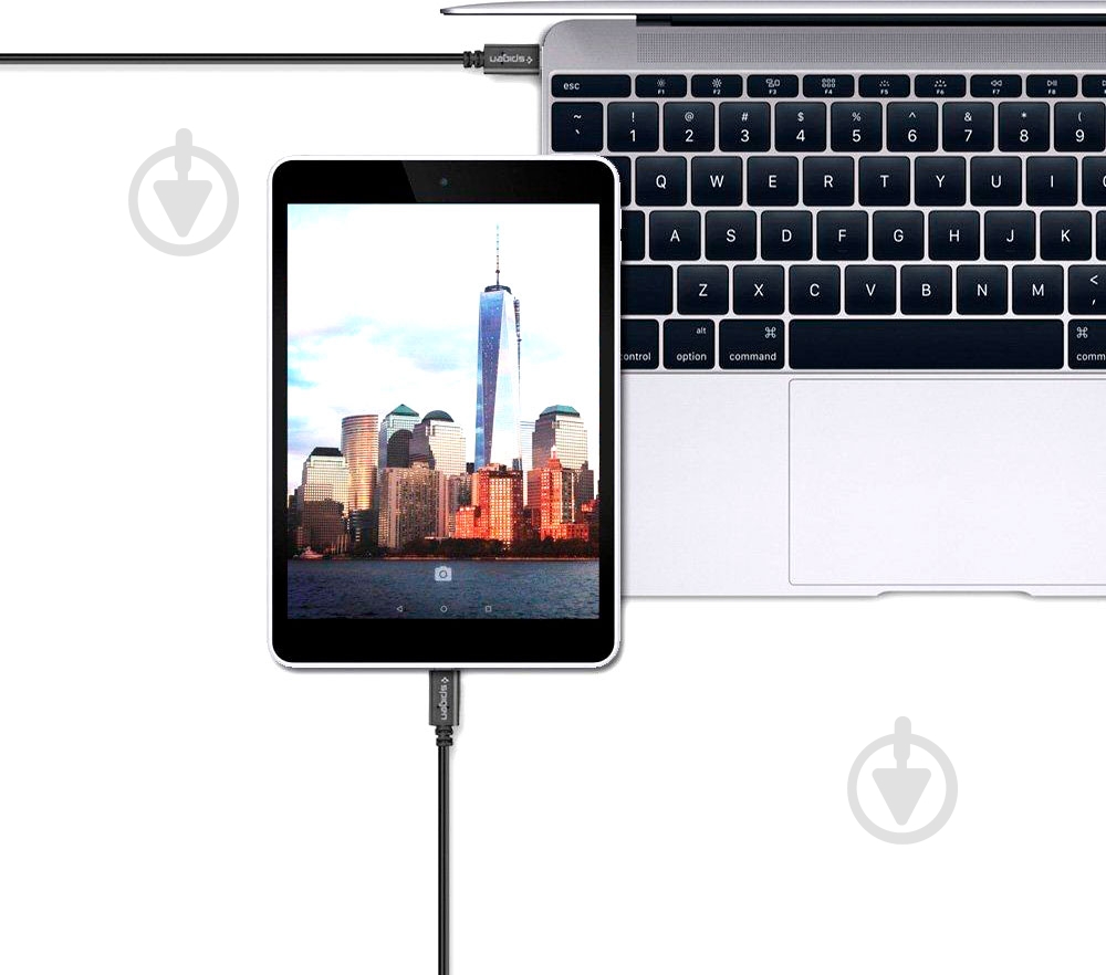Кабель Spigen USB Type-C – USB 3.1 1 м черный (SGP11579) Essential C10C0 - фото 2