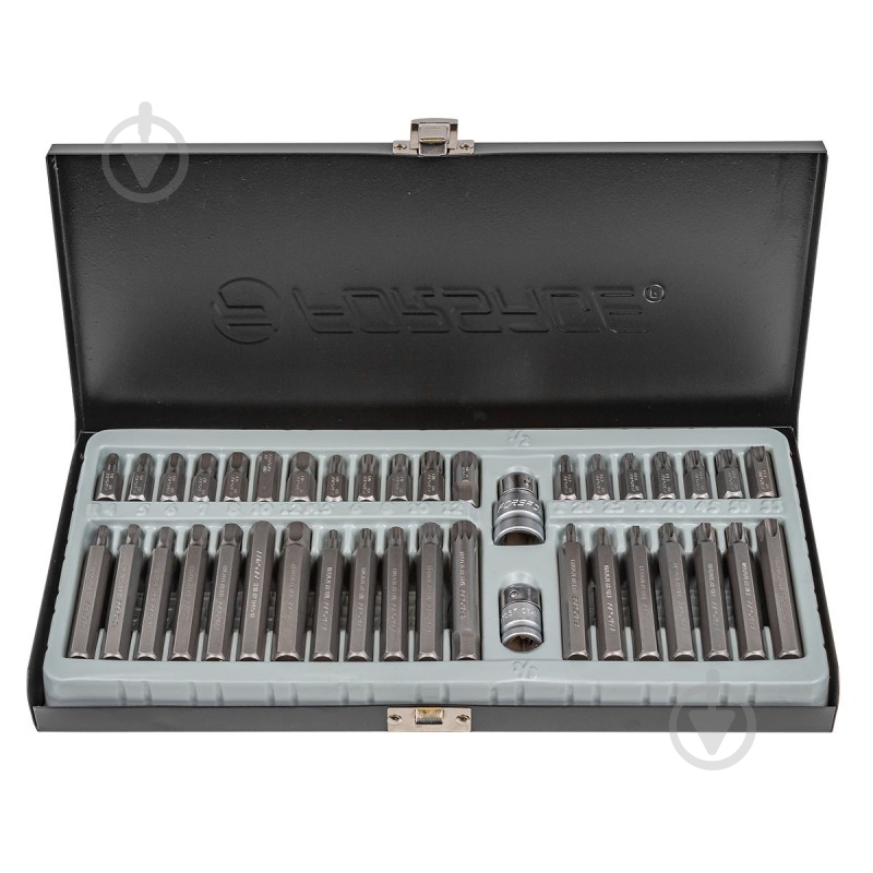 Набор бит Forsage с битодержателем 40 шт. F-4401 - фото 2 Набор бит Forsage с битодержателем 40 шт. F-4401 - фото 2