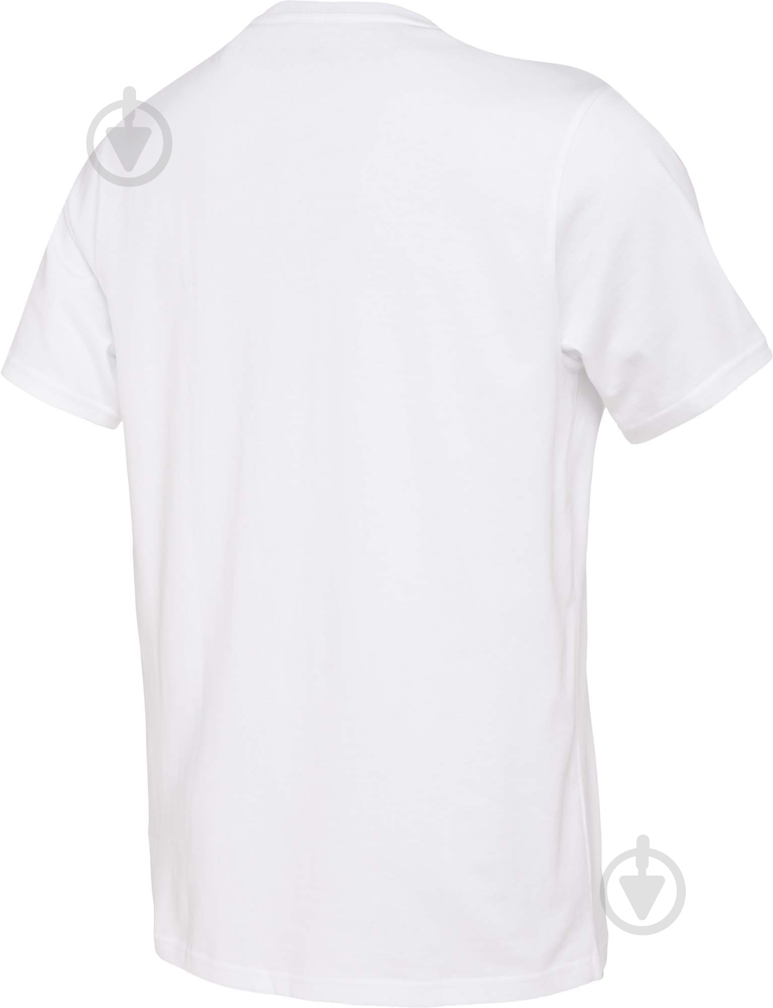 Футболка Converse CONVERSE ARCH ALL STAR TEE CVM5T163-WHT р.L білий - фото 2