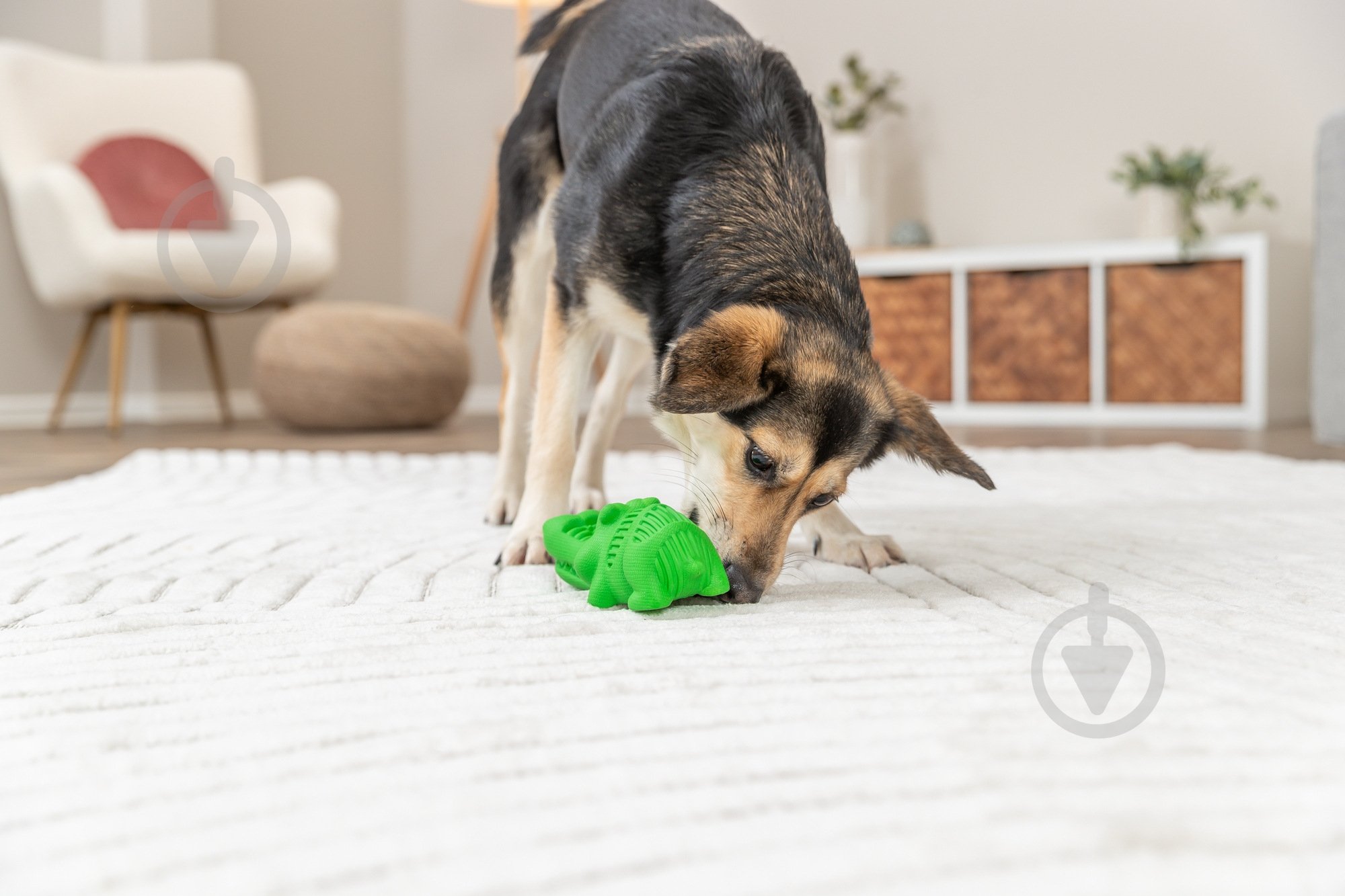 Іграшка Trixie Крокодил для снеків 18 см зелений (34934_ord) - фото 5 Іграшка Trixie Крокодил для снеків 18 см зелений (34934_ord) - фото 5