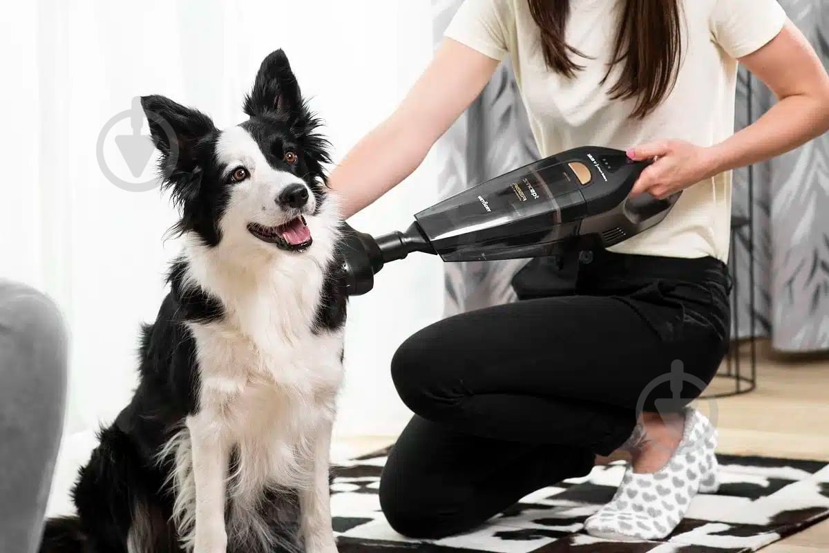 Пылесос аккумуляторный Concept 18.5V VP4353 black - фото 17