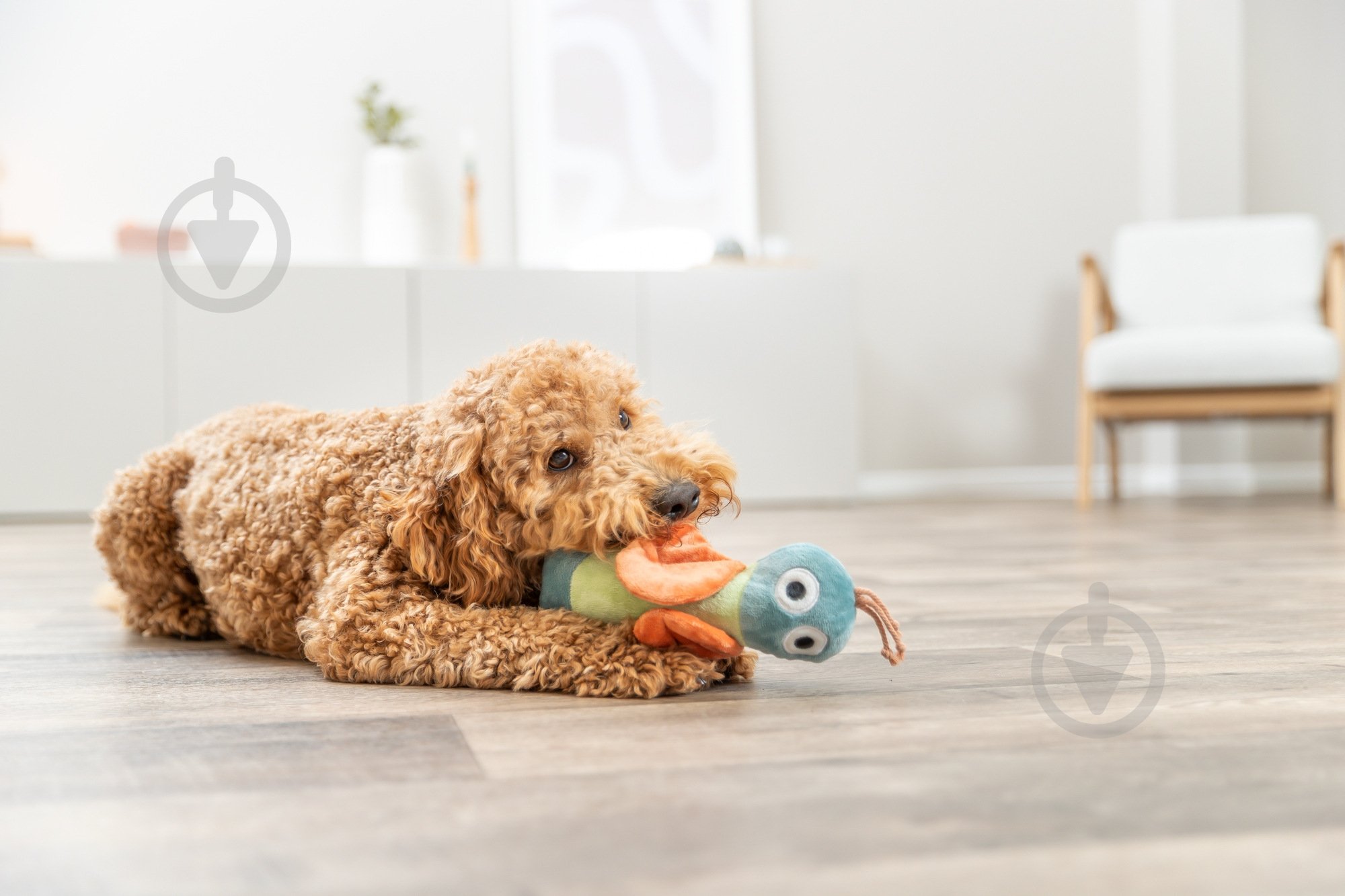 Игрушка Trixie Бабочка с шелестом 22 см серый (361001_ord) - фото 3 Игрушка Trixie Бабочка с шелестом 22 см серый (361001_ord) - фото 3