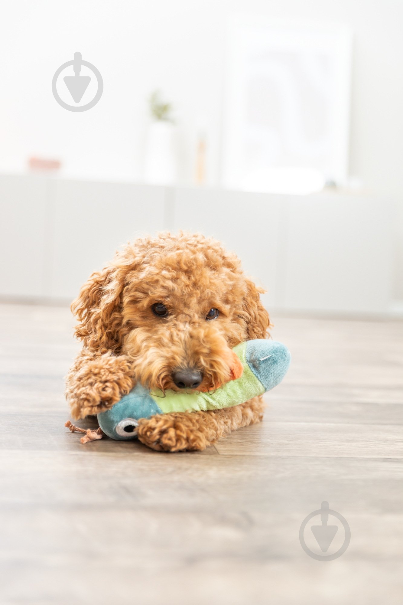 Игрушка Trixie Бабочка с шелестом 22 см серый (361001_ord) - фото 4 Игрушка Trixie Бабочка с шелестом 22 см серый (361001_ord) - фото 4