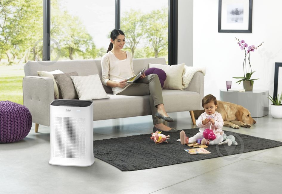 Очиститель воздуха Rowenta PU3040F0 Pure Air - фото 6 Очиститель воздуха Rowenta PU3040F0 Pure Air - фото 6