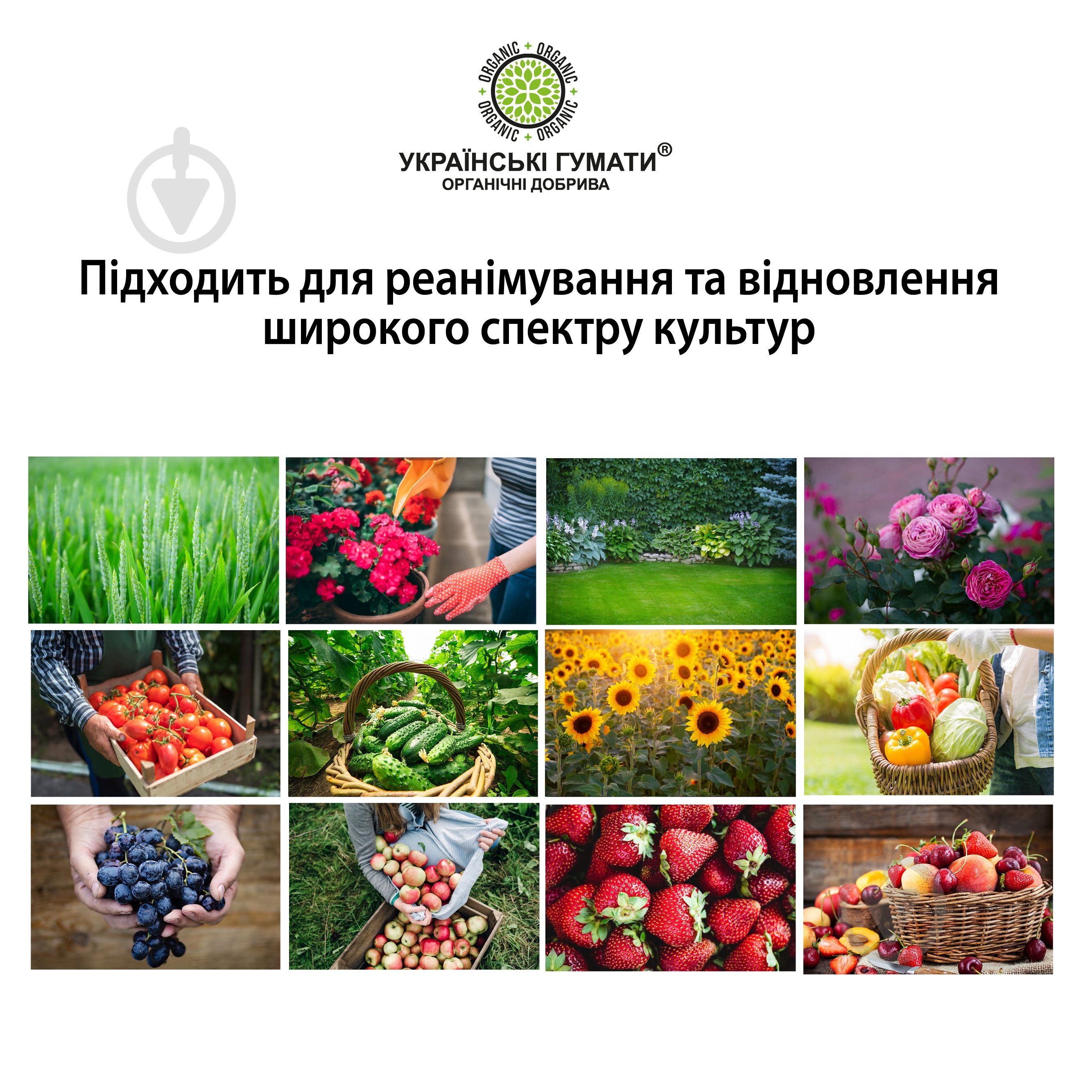 Добриво органічне Українські гумати для підживлення гуміново-фульвовим комплексом та реанімування 500 г - фото 6