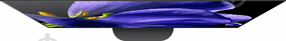 Телевизор Sony KD55AG9BR2 - фото 5