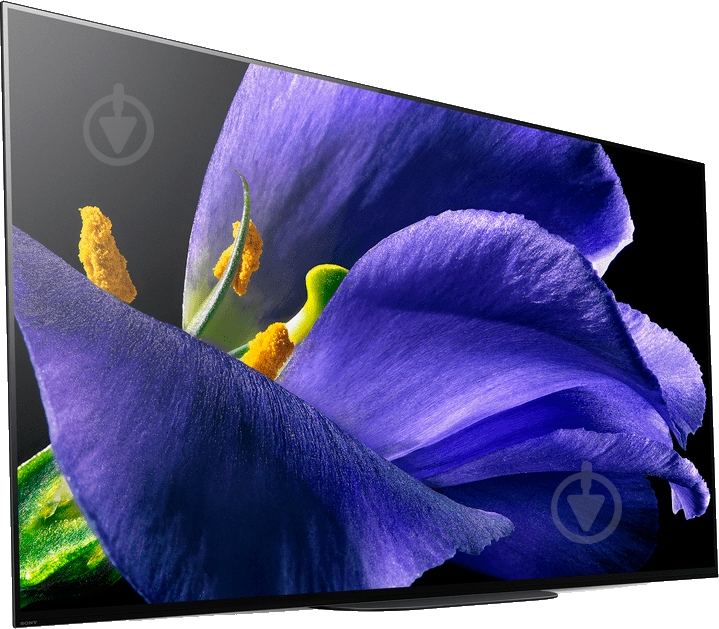 Телевизор Sony KD55AG9BR2 - фото 2