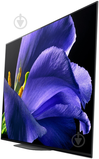 Телевизор Sony KD55AG9BR2 - фото 7