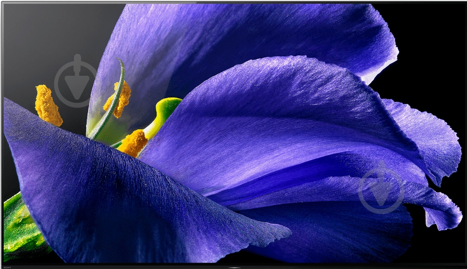 Телевизор Sony KD55AG9BR2 - фото 4