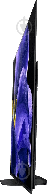 Телевизор Sony KD55AG9BR2 - фото 6