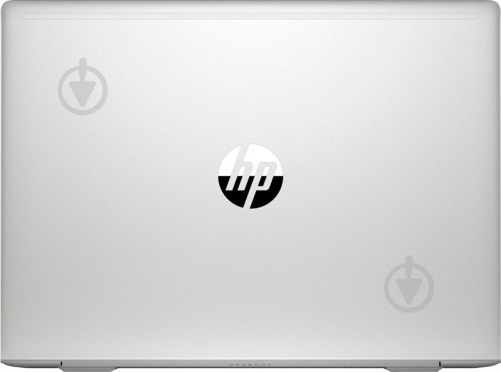 Ноутбук HP Probook 445R G6 14" (7DC25EA) pike silver - фото 6